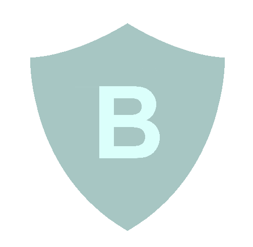 image of a shield with a plus sign that indicates max security